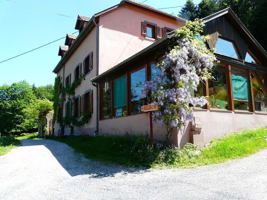 ein Haus mit einer blühenden Pflanze auf der Seite in der Unterkunft Domaine Saint Michel D'Alsace Centre Zen Universel à thérapies de bien-être in Le Hohwald