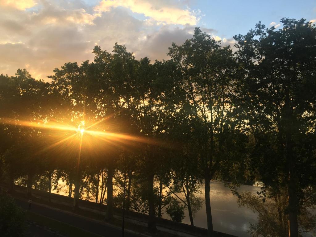 トゥールにあるLoire Terrasseの手前の木々が流れる川の夕日