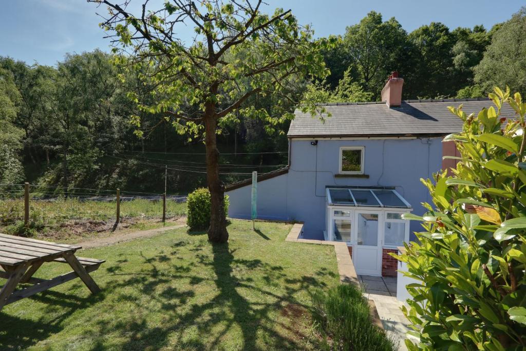 Cabaña azul con banco y árbol en Lilac Cottage, en Parkend