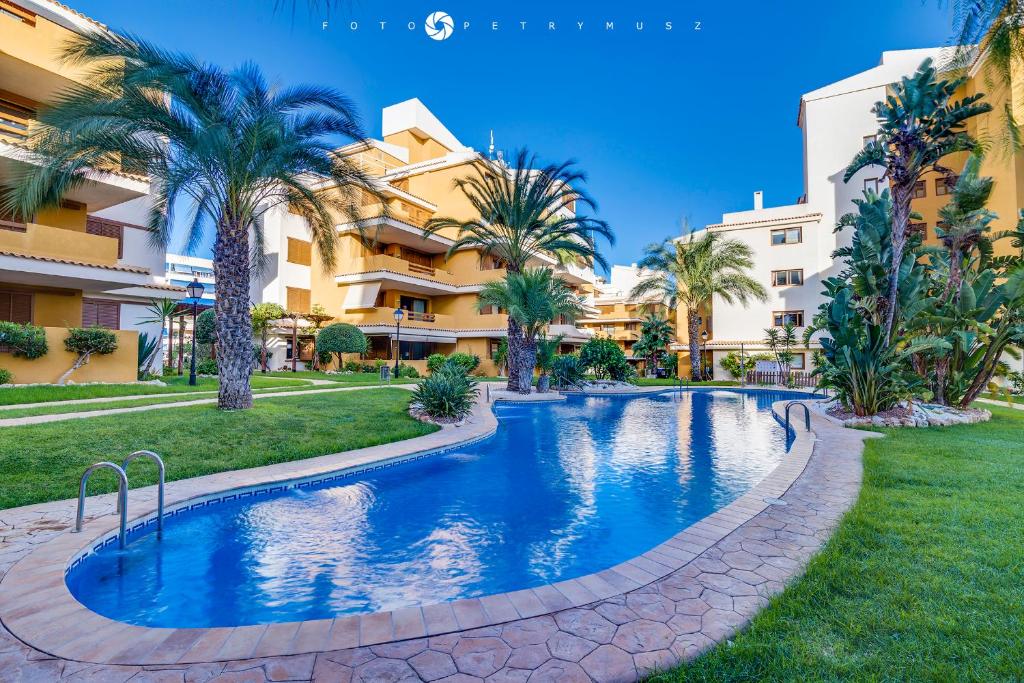 a swimming pool in front of a building with palm trees at Apartament Delux-La Entrada Punta Prima in Torrevieja
