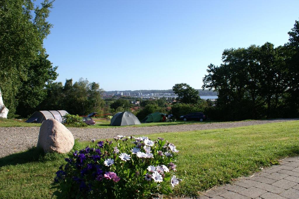 Zahrada ubytování Fjordlyst Camping & Cottages