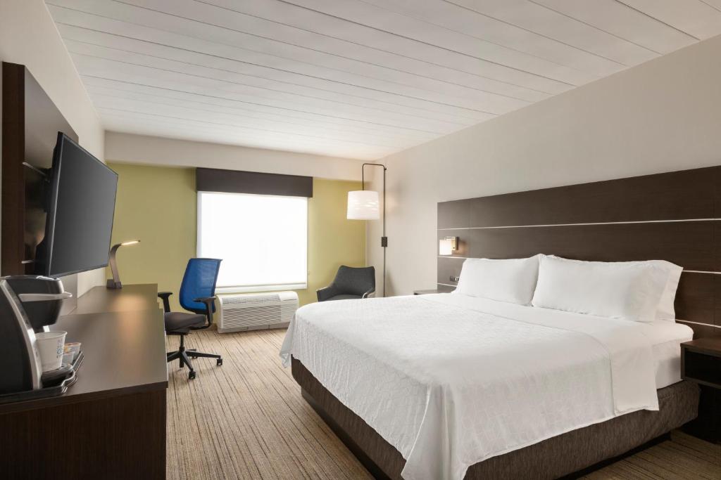 Holiday Inn Express Hotel & Suites Fort Myers East - The Forum, an IHG Hotel - Chambre King Standard