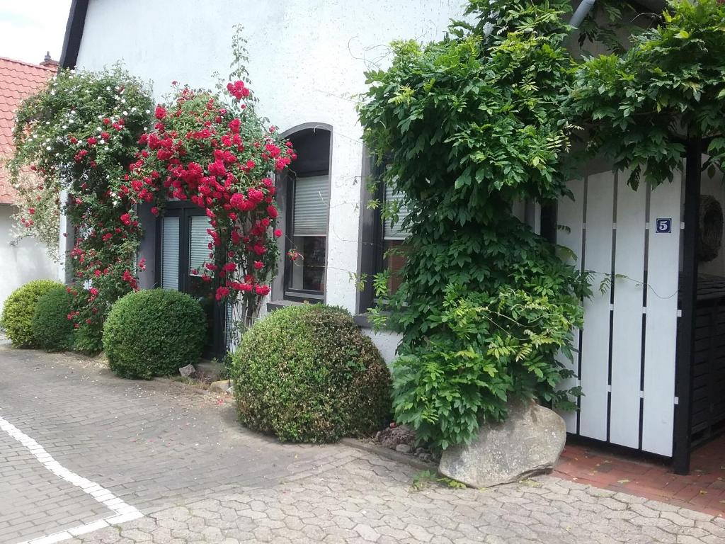 uma casa com flores vermelhas e uma porta branca em Altstadt-Apartment Petershagen em Petershagen