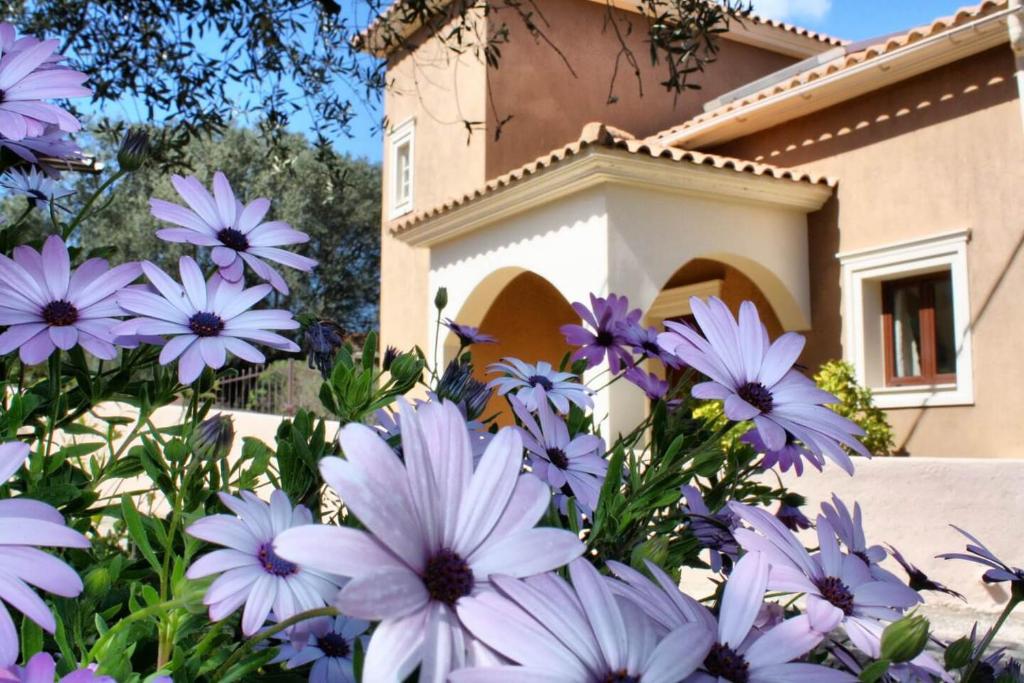 a bunch of purple flowers in front of a house at Traditional Villa Mandola in Kefallonia