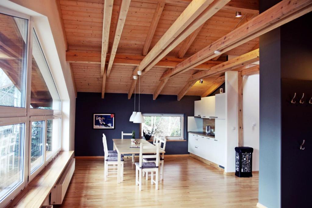 Kuchyňa alebo kuchynka v ubytovaní Apartamenty Orla