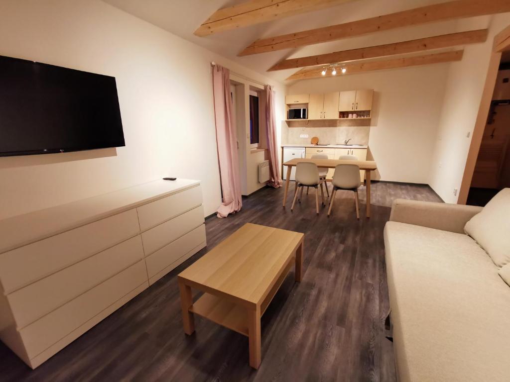 Televízia a/alebo spoločenská miestnosť v ubytovaní Apartmány Ski areal Kareš