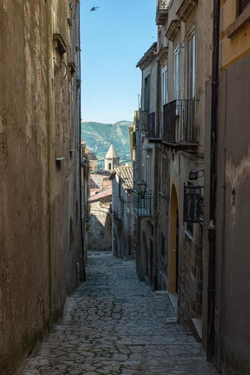 L'Antica Caiatia - 2