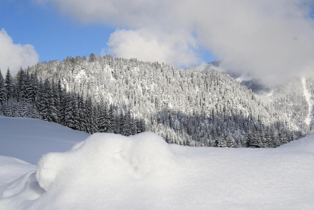 Alpengasthof Oberweissbach v zime