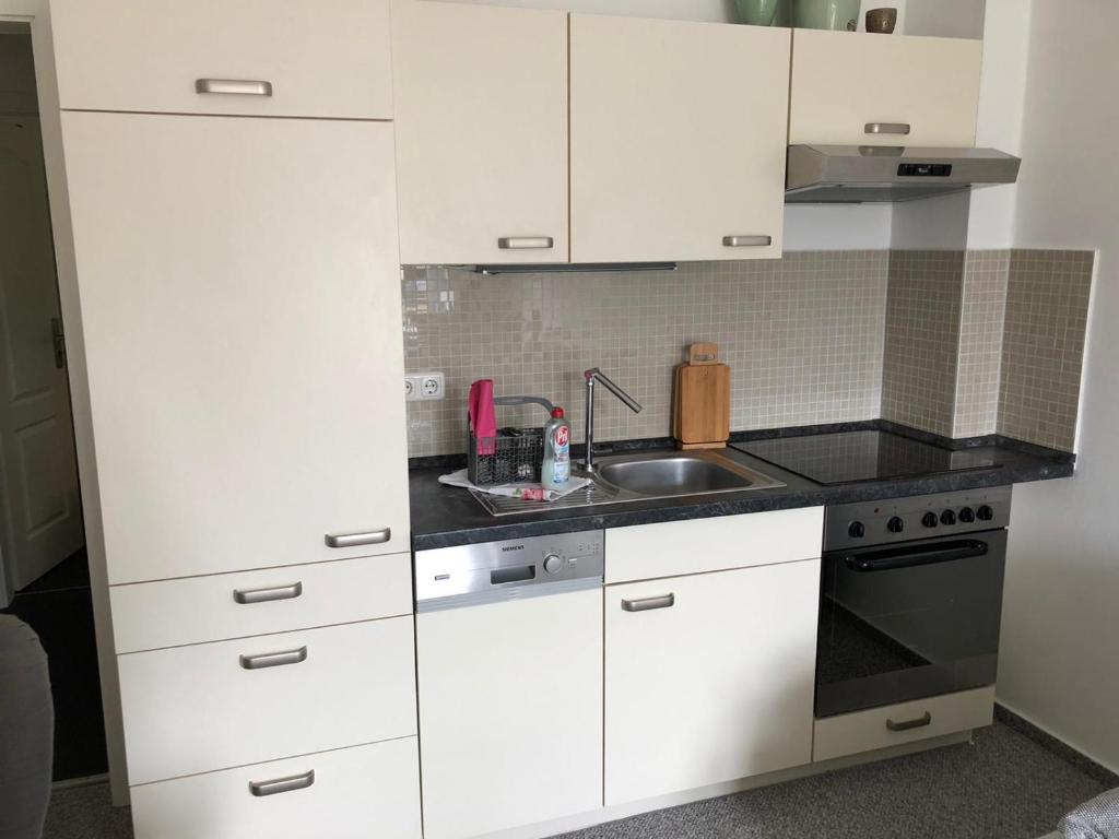 Kuchyň nebo kuchyňský kout v ubytování Apartment in Wiek