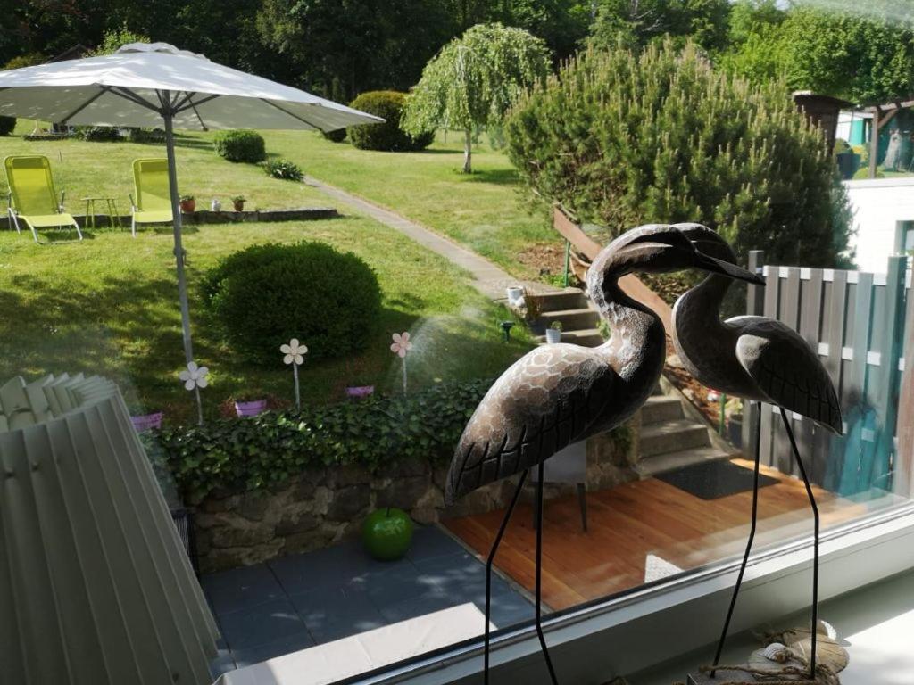 Dois pássaros estão no parapeito da janela. em Casa Carlotta - keine Monteure em Langelsheim