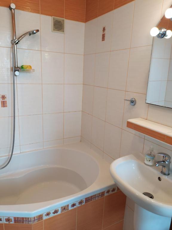Koupelna v ubytování Apartmán Jan