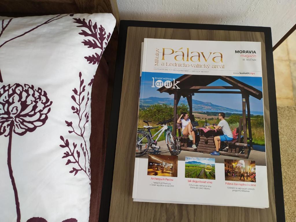 Fotografie z fotogalerie ubytování Apartmán Jan v destinaci Břeclav