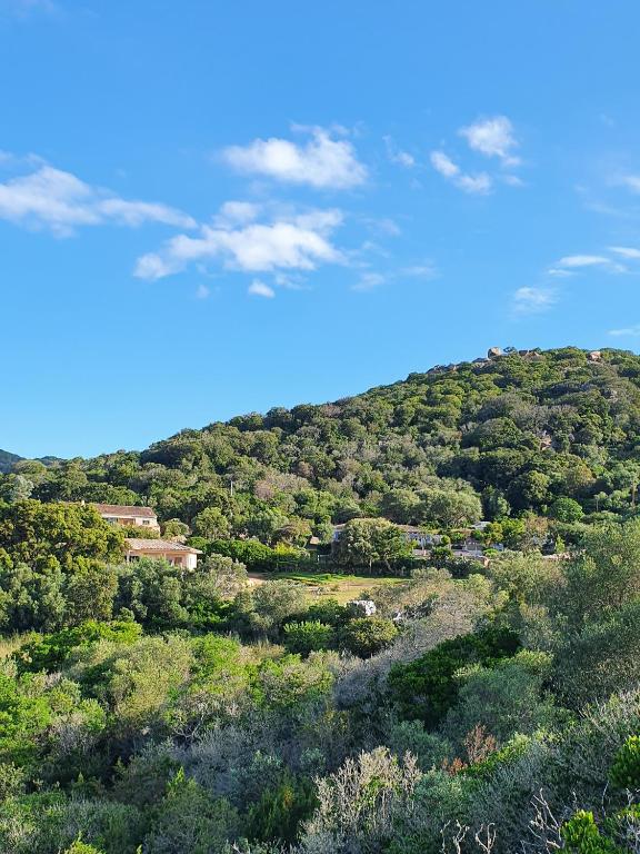 a view of a hill with trees on it at Bel appartement dans hameau calme in Bonifacio