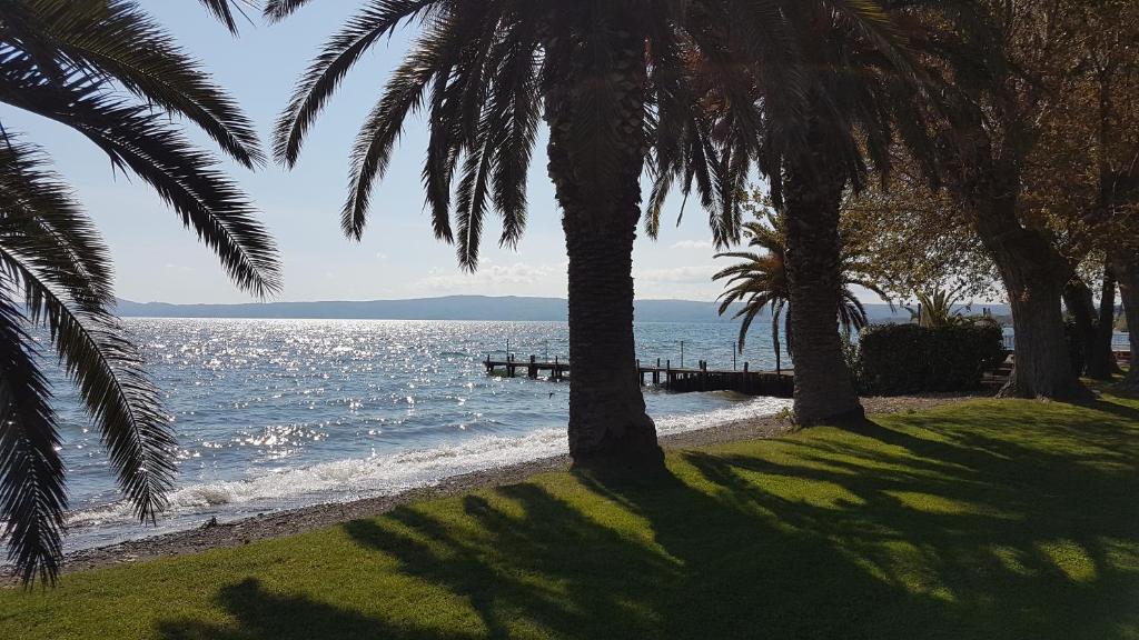 vistas a una playa con palmeras y al océano en Hotel Eden Sul Lago, en Bolsena