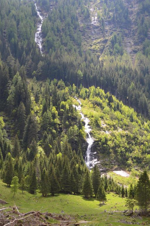 Príroda v okolí apartmánu