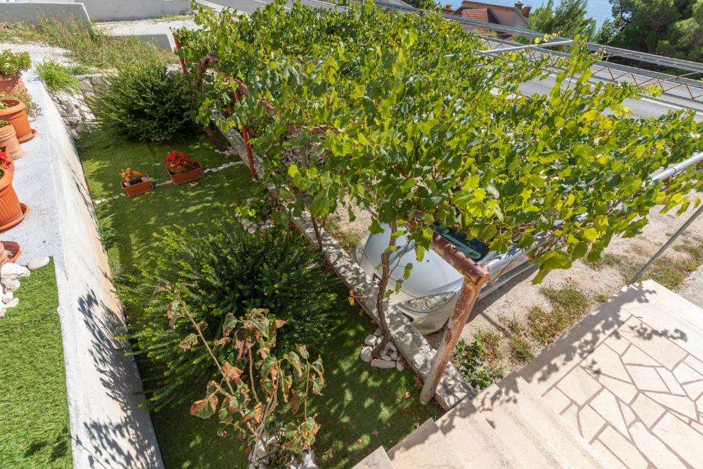 Zahrada ubytování Apartmani Perak