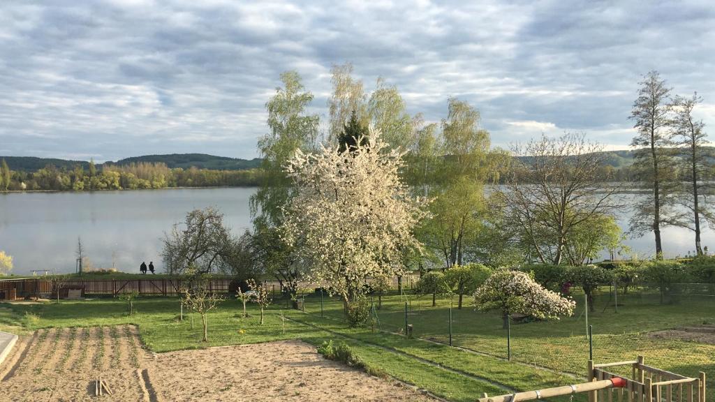 Un árbol con flores blancas junto a un lago. en Apartmán Krásná vyhlídka, en Dolní Benešov