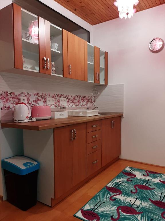 Kuchyň nebo kuchyňský kout v ubytování Privat Tatry Dreams