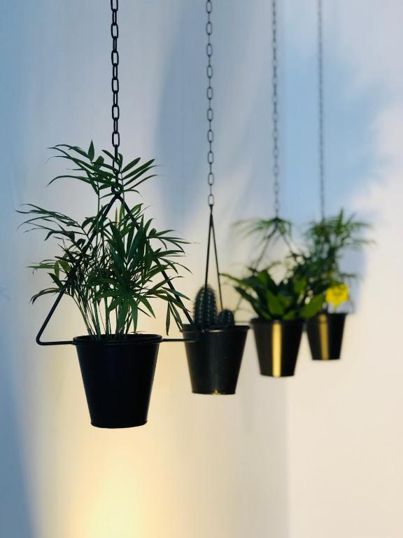 Boreal Porto Gaia - Patio & Pool - 13