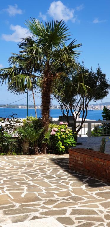 una palma seduta in cima a un marciapiede vicino all'oceano di Redsun Apartment a Vlorë