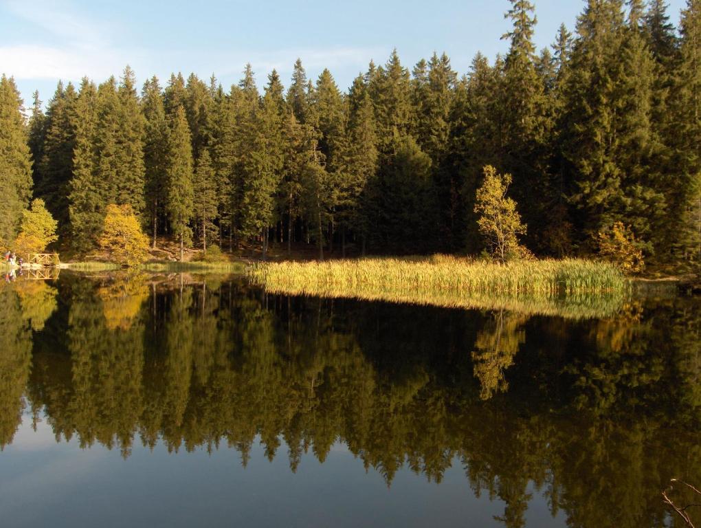 Příroda nedaleko apartmánu