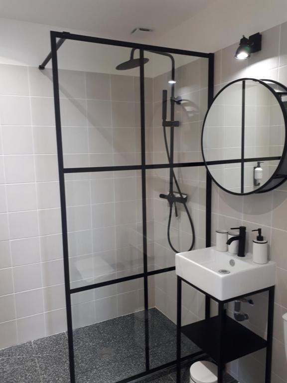 La salle de bains est pourvue d&#39;une douche, d&#39;un lavabo et d&#39;un miroir. dans l&#39;établissement Le Lagon, studio cosy lumineux - proche gare, à Rennes