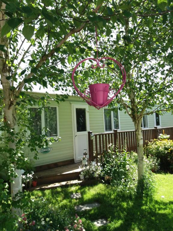 a pink basket hanging from a tree in front of a house at Hills View Accommadation in Borrisoleigh