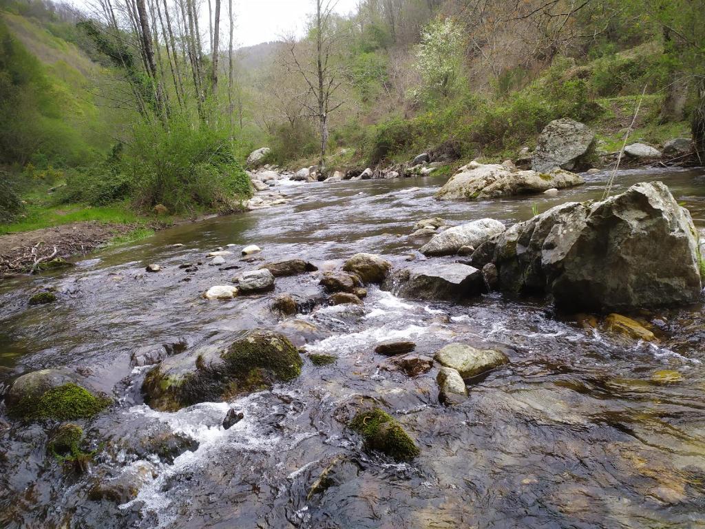 Przyroda w pobliżu tego obiektu B&B