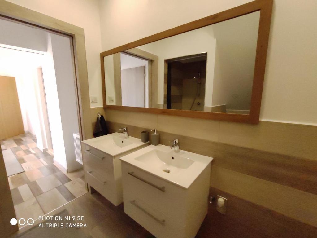 Koupelna v ubytování Apartmány Opolany