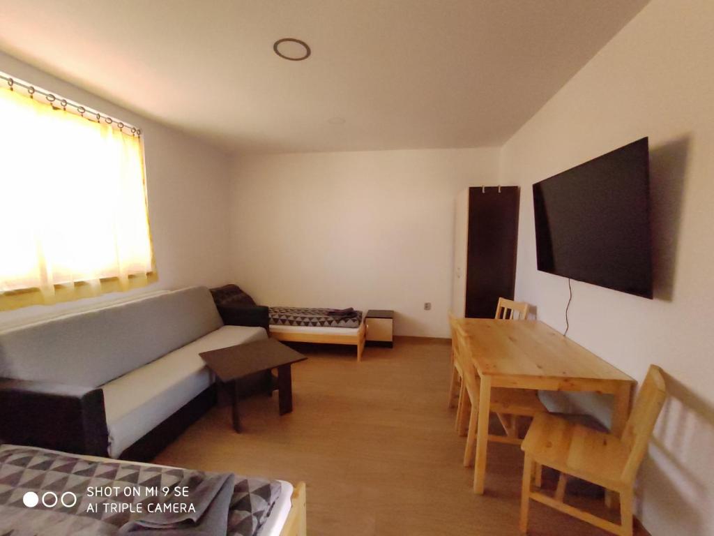 TV a/nebo společenská místnost v ubytování Apartmány Opolany