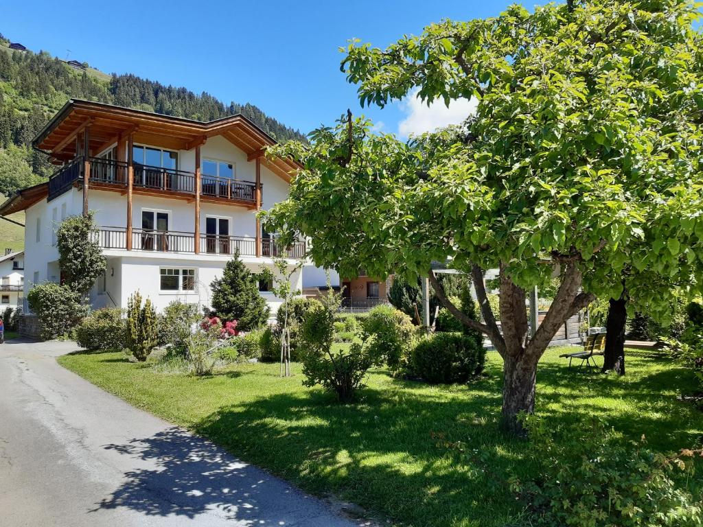 Príroda v okolí apartmánu