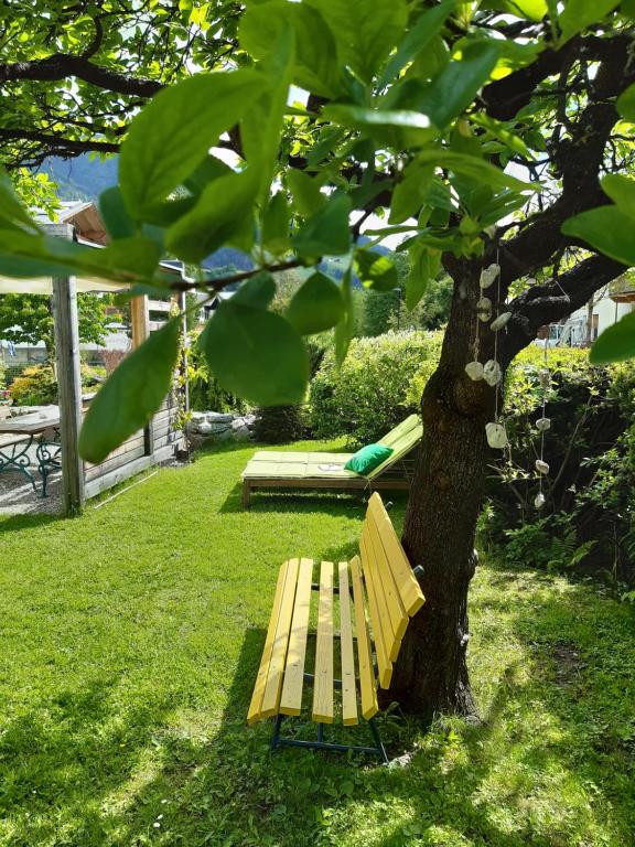 Vonkajšia záhrada v ubytovaní Ferienwohnung Judith