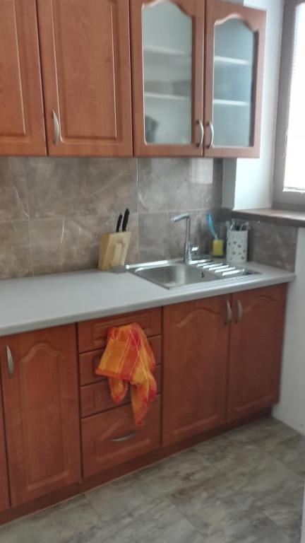 Kuchyň nebo kuchyňský kout v ubytování Apartmány Opolany