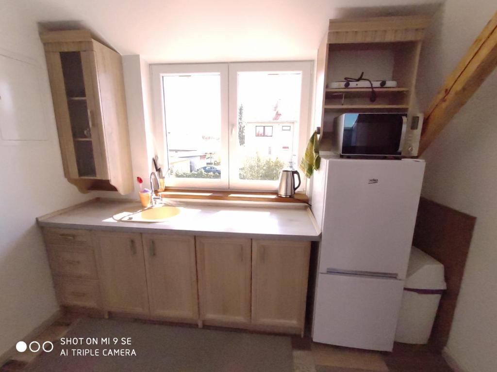 Kuchyň nebo kuchyňský kout v ubytování Apartmány Opolany