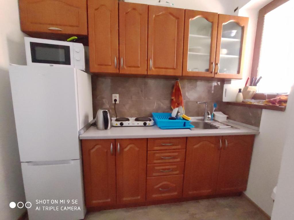 Kuchyň nebo kuchyňský kout v ubytování Apartmány Opolany