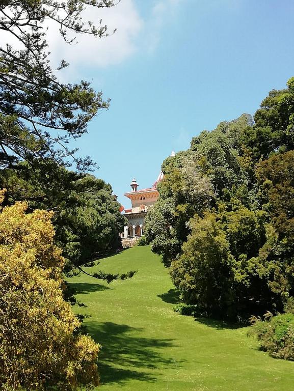 a house in the middle of a field with trees at CasAzulApartments in Sintra