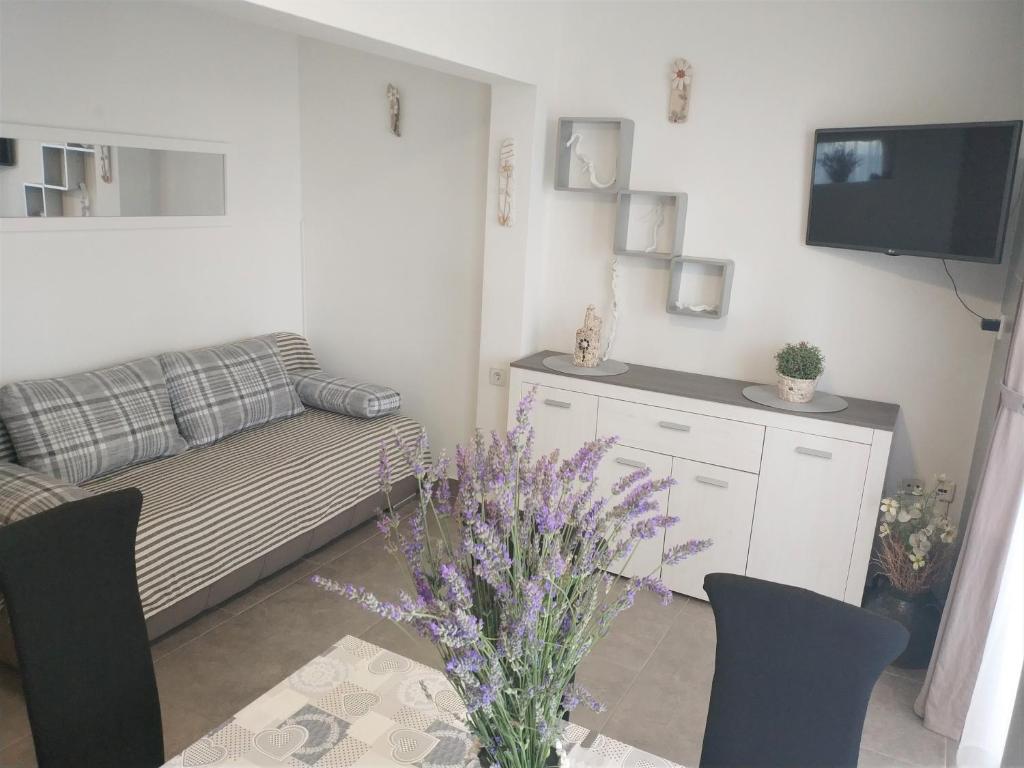 TV a/nebo společenská místnost v ubytování Apartments Rak