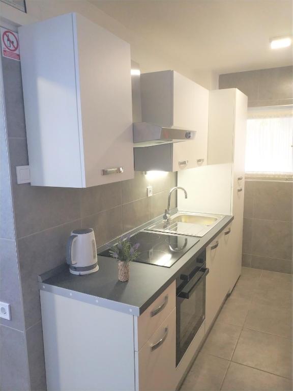 Kuchyň nebo kuchyňský kout v ubytování Apartments Rak