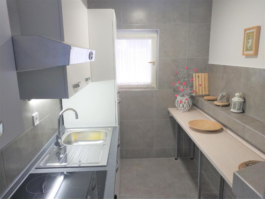 Kuchyň nebo kuchyňský kout v ubytování Apartments Rak