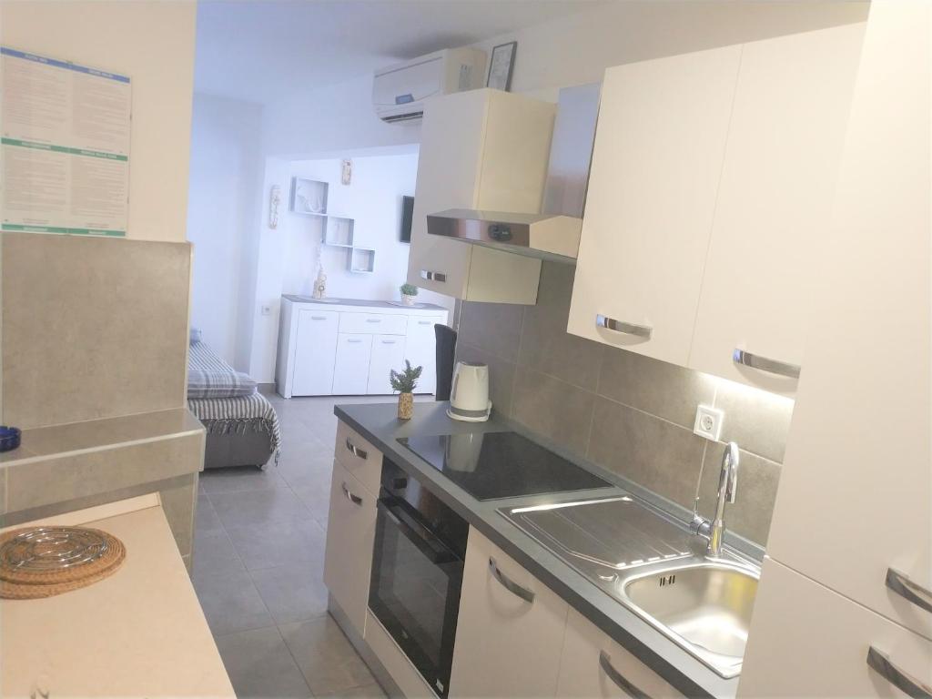 Kuchyň nebo kuchyňský kout v ubytování Apartments Rak