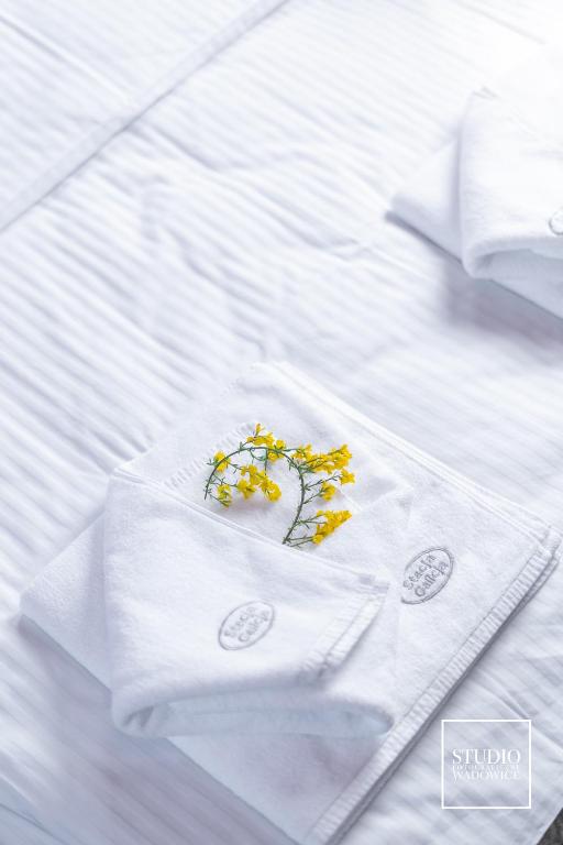 Stacja Galicja - nocleg w pociągu blisko Energylandia - 14