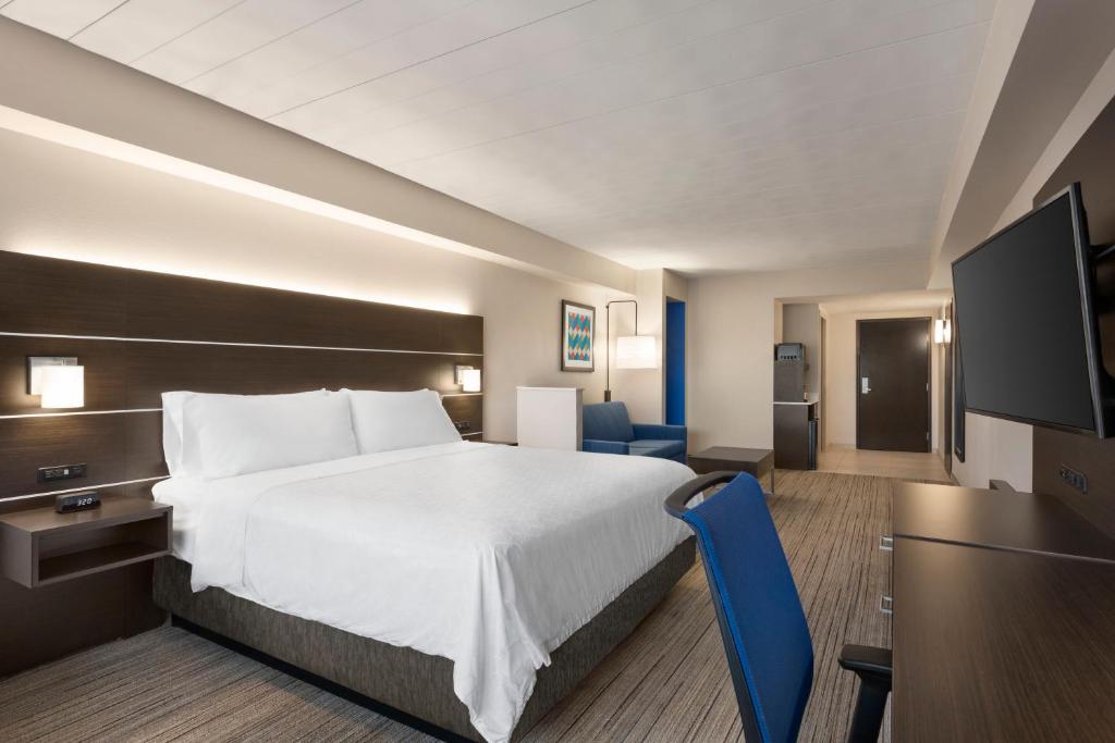 Holiday Inn Express Hotel & Suites Fort Myers East - The Forum, an IHG Hotel - Suite King À Une Chambre Avec Canapé-Lit