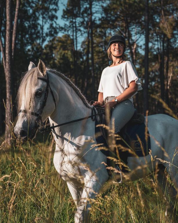 Zvířata v hotelu nebo okolí