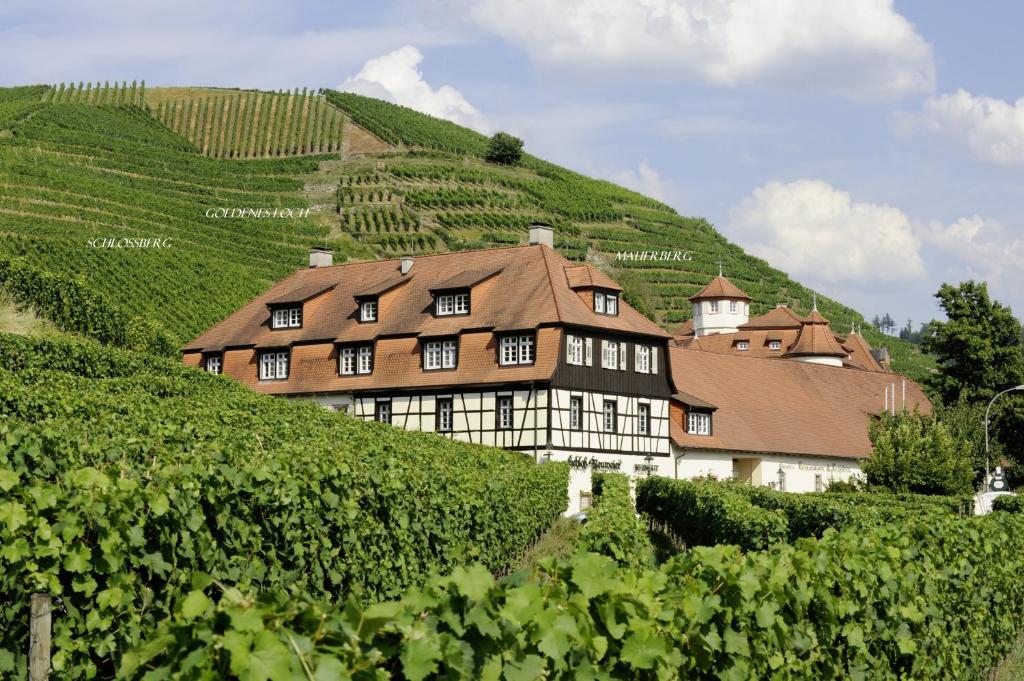 a large building on a hill with green vines at Hotel Residenz im Schloss Neuweier in Baden-Baden