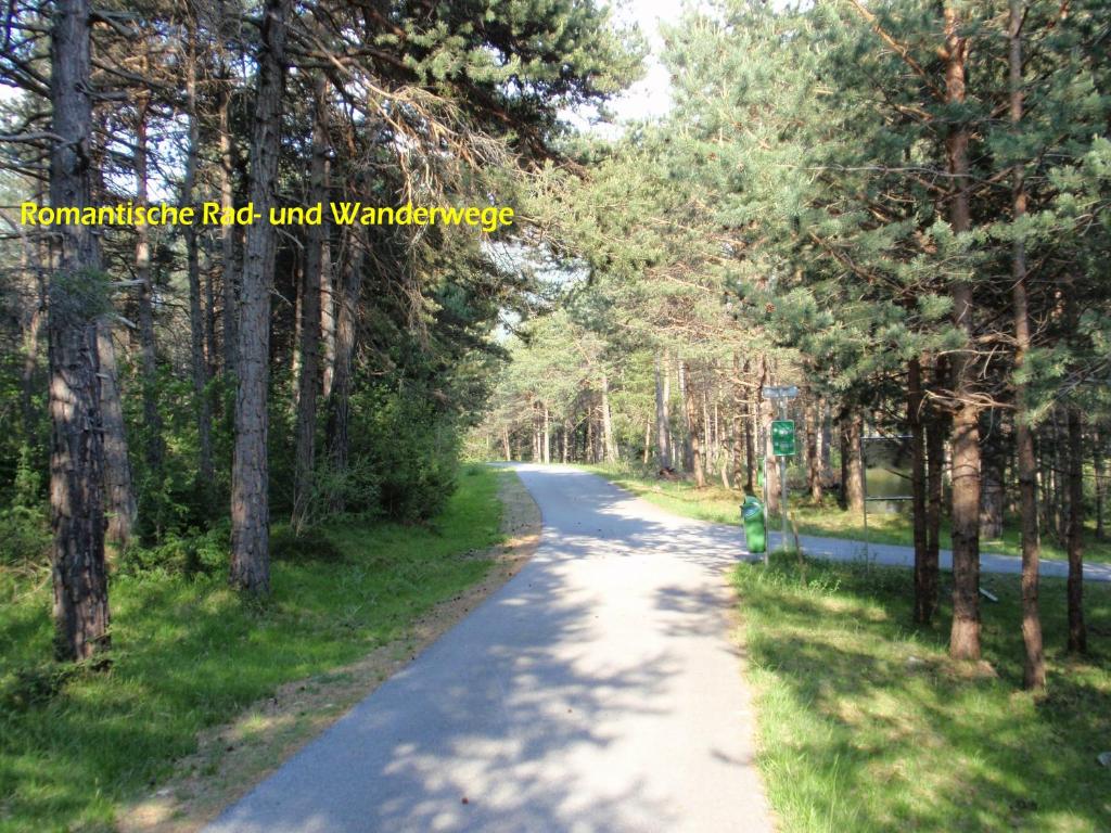Příroda nedaleko apartmánu