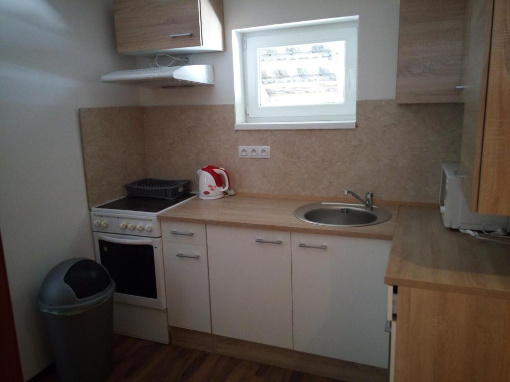 a small kitchen with a sink and a stove at Černá Kočka- Low cost ubytování in Svijanský Újezd