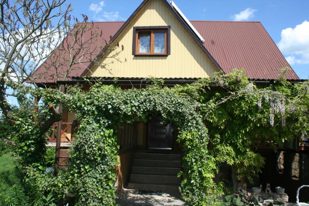 克拉斯諾布魯德的住宿－Agroturystyka "Pod Bluszczem"，黄色的房屋,有红色的屋顶