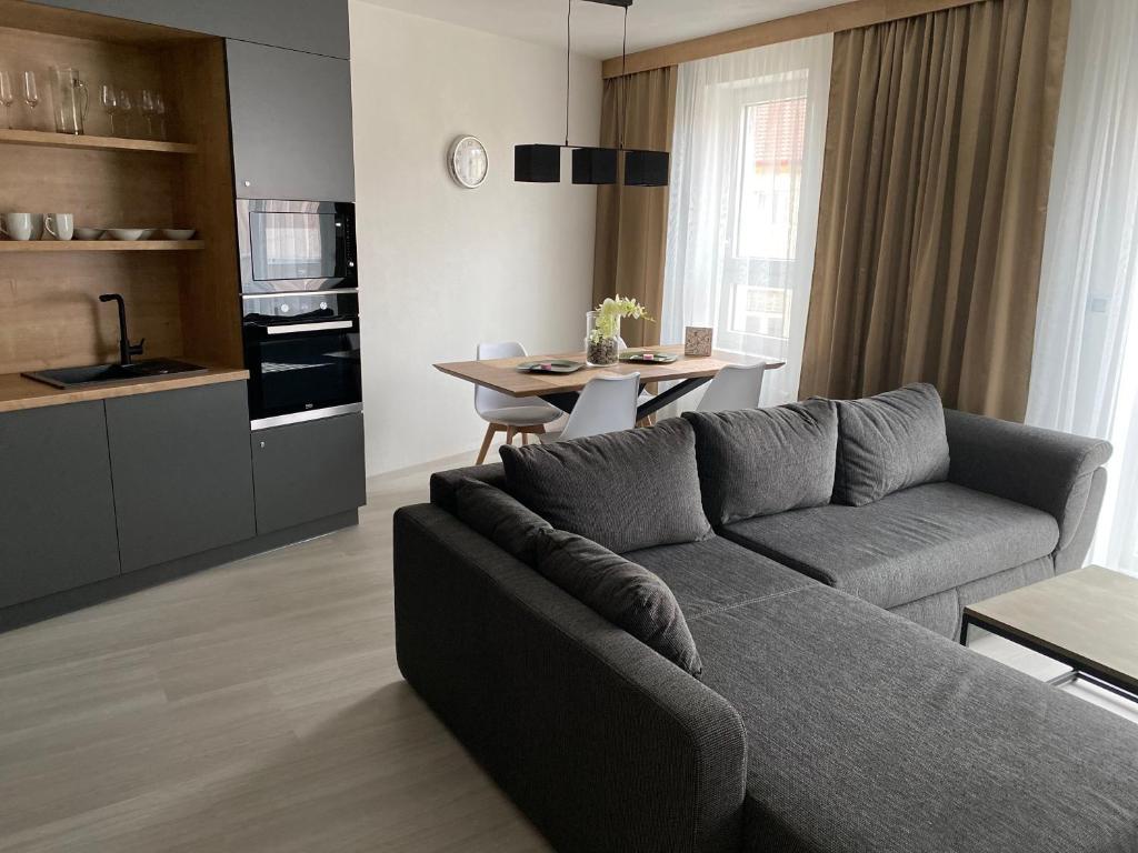 sala de estar con sofá gris y cocina en Apartmán Champion en Plzeň