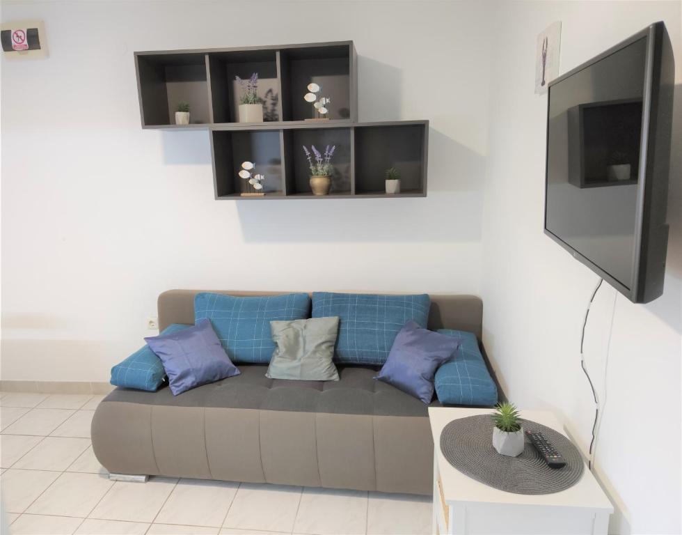 TV a/nebo společenská místnost v ubytování Apartments Rak