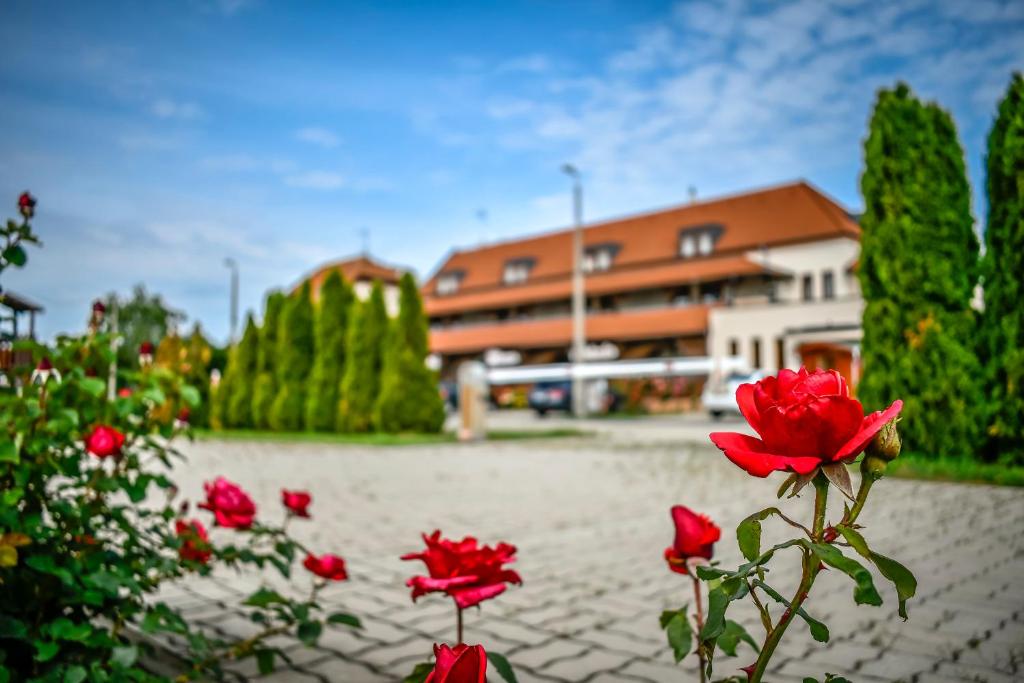 un grupo de rosas rojas frente a un edificio en Hotel Rózsa Csárda en Hegyeshalom